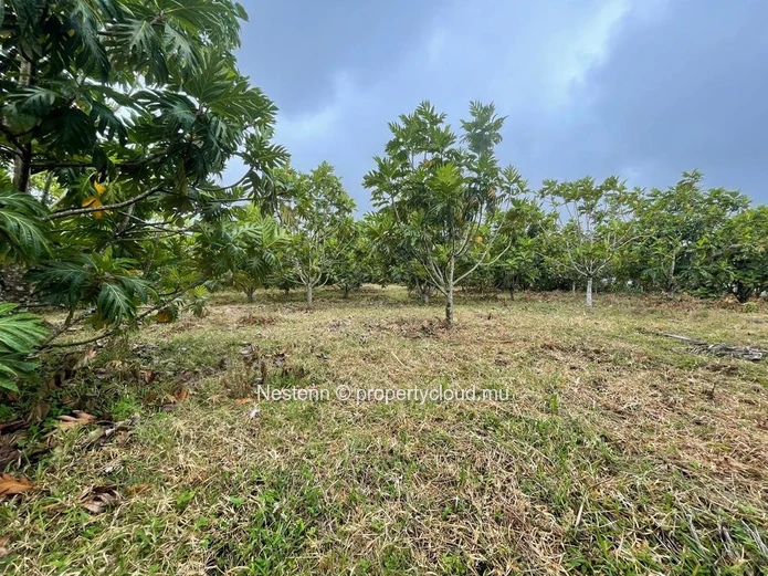 Agricultural plot of land of 103.2 Perches/4,357.92 m² 
