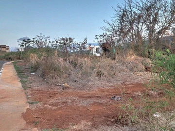 Residential Land