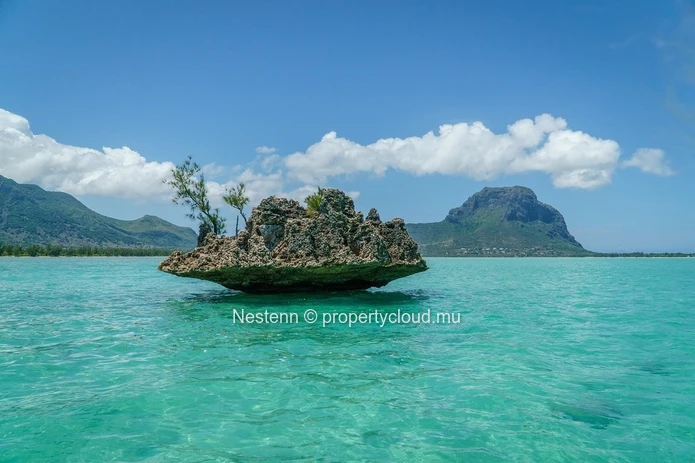 3 bedrooms apartment of 155m2 feet in the water on the exclusive site
