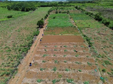 Agricultural Land