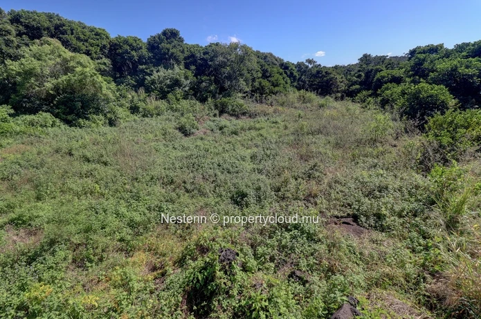Agricultural land of 52 perches
