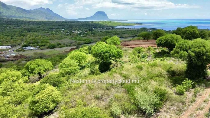 Exceptional Plot of 4227 m2 Domaine de Palmyre 