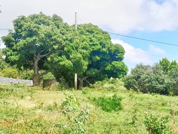 Residential Land