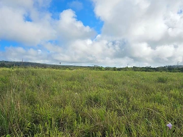 Residential Land