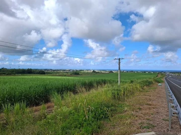 Agricultural Land