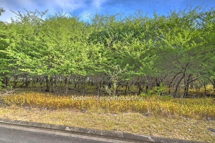 Terrain d'exception de 2 167,66 m² 