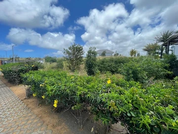 Residential Land