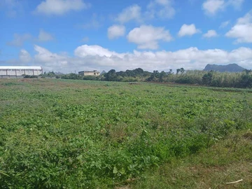 Agricultural Land
