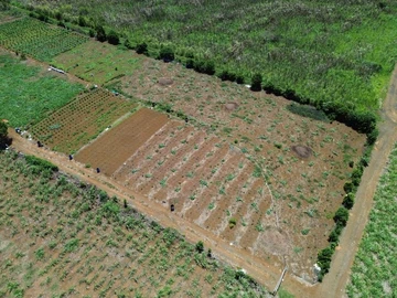 Agricultural Land