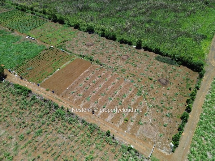 Agricultural land of 2276m2