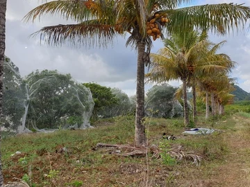 Agricultural Land