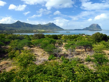 Residential Land