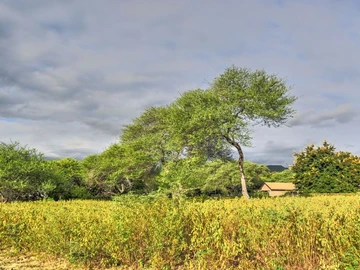 Residential Land