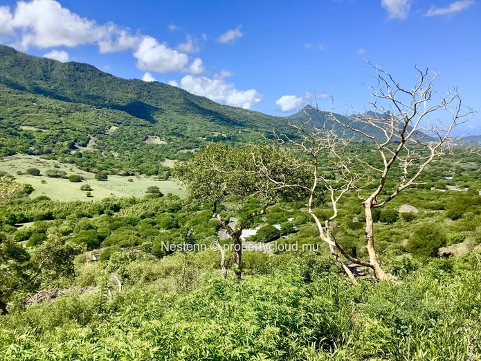 Incroyable villa de 4 chambres en suite située en pleine nature et avec vue mer