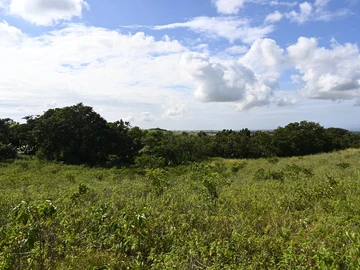 Agricultural Land