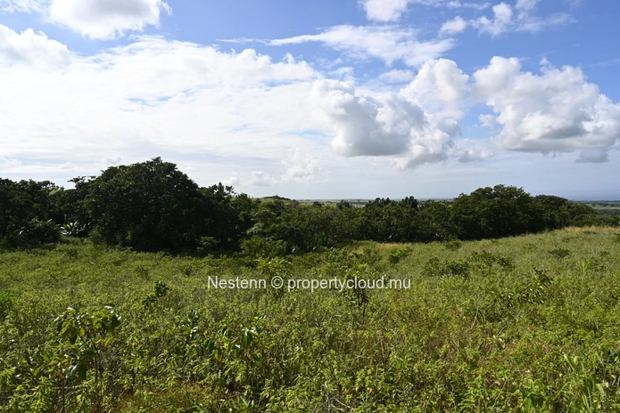 Agricultural land of 12,664 m² 
