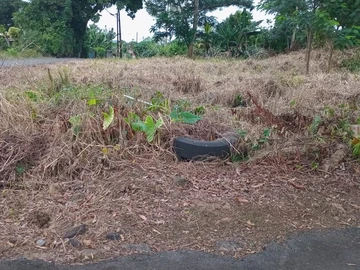 Residential Land