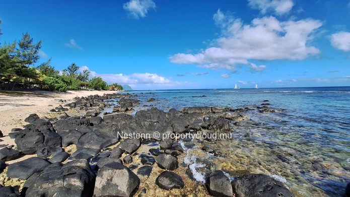 Superbe appartement de 3 chambres en rez de jardin pieds dans l'eau 