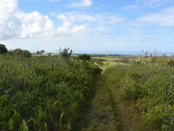 Agricultural Land