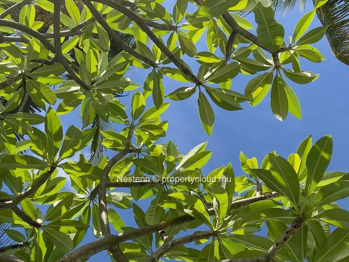 706 m² Residential Plot at Domaine Harmony – Coastal Living Within Reach