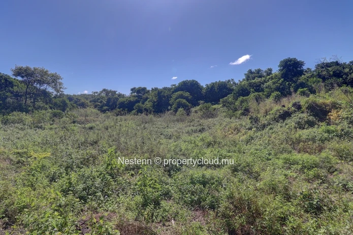 Agricultural land of 52 perches