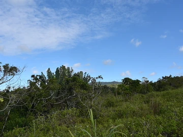 Agricultural Land