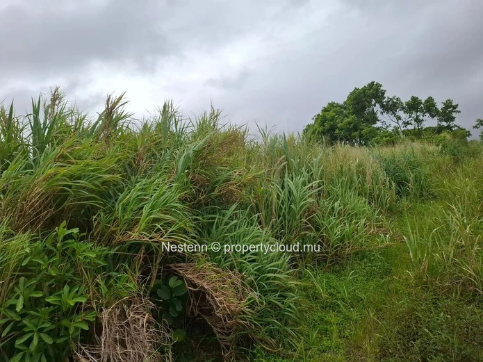 Agricultural land of 12,491.13 m², ideally located in the peaceful and green surroundings 