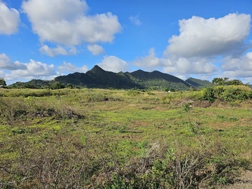 Agricultural Land