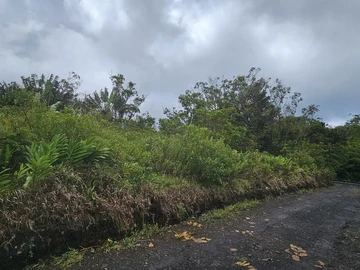 Residential Land