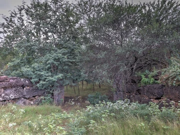 Residential Land