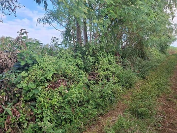 Agricultural Land