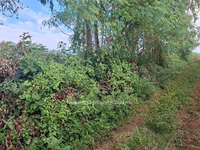 Terrain de 4965,12 m² à 2,8 kms de la route principale.