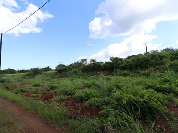 Residential Land