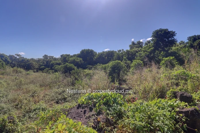 Agricultural land of 52 perches