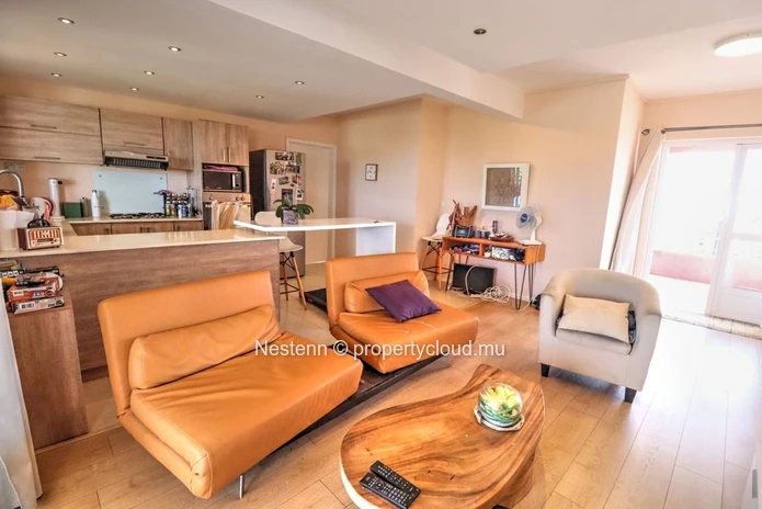 Penthouse moderne avec 2 chambres et proche des commerces 