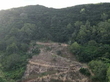 Agricultural Land