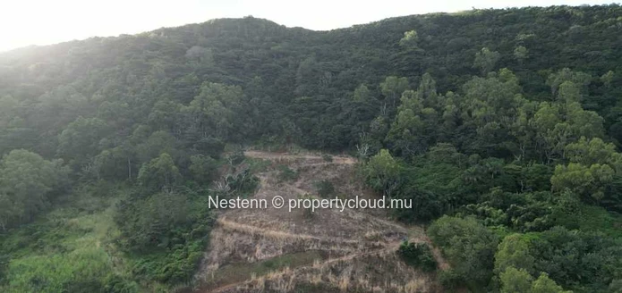 5-arpent land with full ownership.