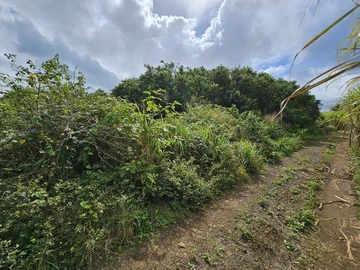 Agricultural Land