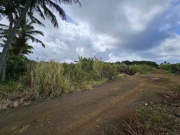 Agricultural Land