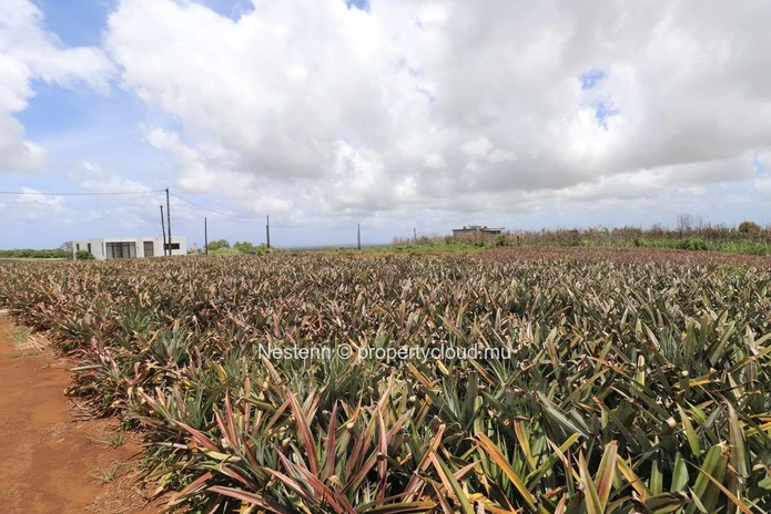 Land with breathtaking sea views