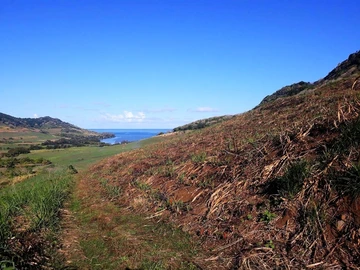 Agricultural Land
