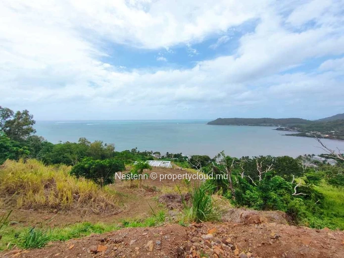 5-arpent land with full ownership.