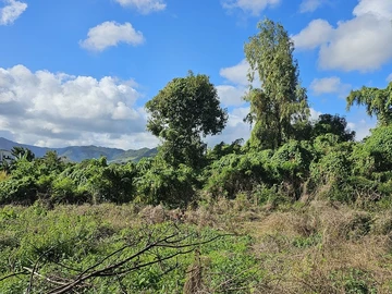 Residential Land