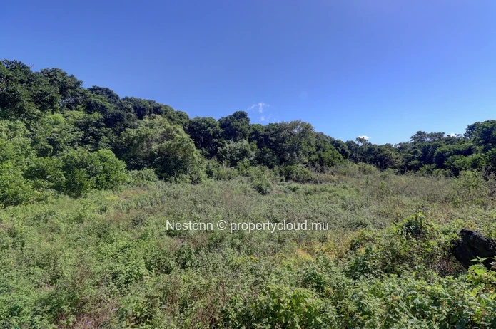 Agricultural land of 52 perches