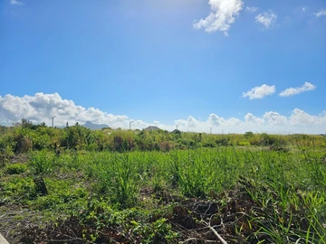 Residential Land