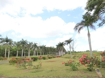 Residential Land