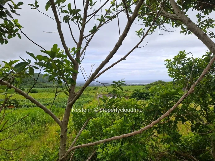 Agricultural land of 12,491.13 m², ideally located in the peaceful and green surroundings 