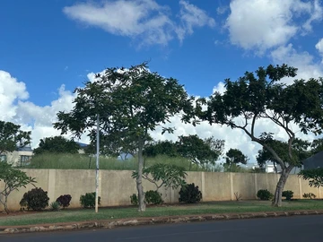 Residential Land