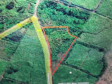 Agricultural Land