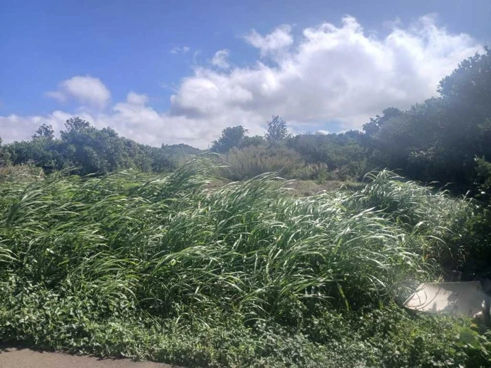Spacious land offering 2325.5 m²